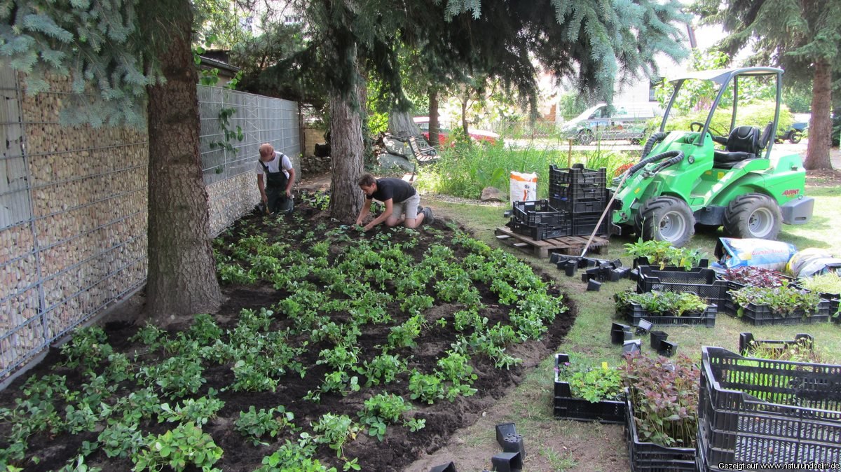 Gartengestaltung Berlin Brandenburg Attraktives Wohndesign